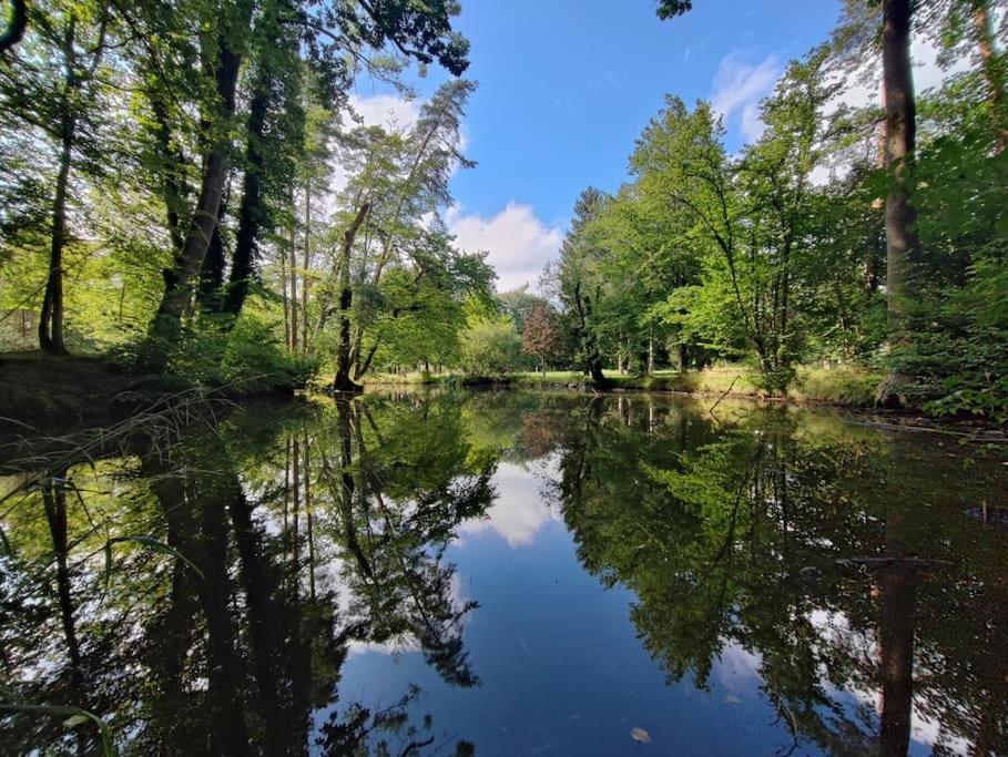 -Stadthaus Ida- Mit Grosser Dachterasse, Am Schlosspark, Luftkurort Kisslegg, Boxspringbetten, Kaffeevollautomat, Smarttv, Familienfreundlich, Grosszuegig, Zentral Esterno foto